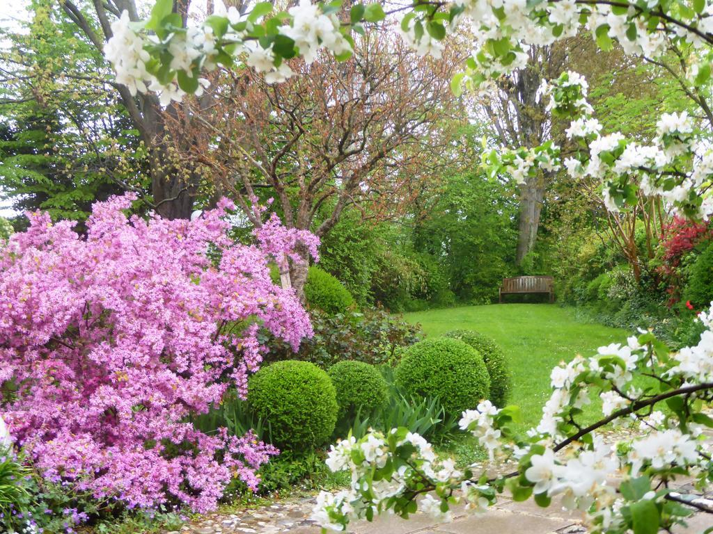 הוילה Zero Branco La Casa Del Giardiniere מראה חיצוני תמונה